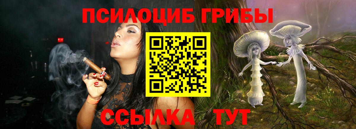 Псилоцибиновые грибы мухоморы Моздок